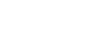 12 UNIDADES